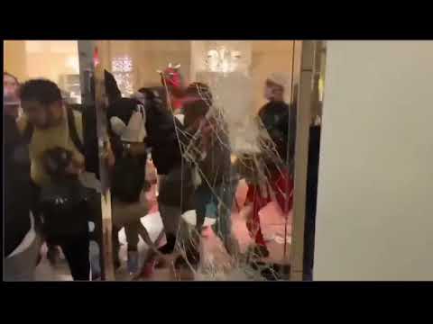 Louis Vuitton gets ransacked by looters in Portland - YouTube