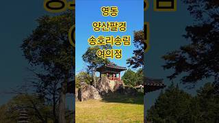 영동 양산팔경 송호리송림,여의정