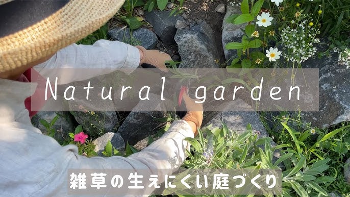 自然農ぶっちゃけ話 草マルチのメリット デメリット Youtube