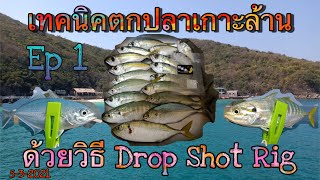Ep1 แนะนำเทคนิคตกปลาเกาะล้าน ด้วยวิธี Drop Shot Rig