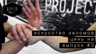 Цинь-на. Искусство заломов. Выпуск #3