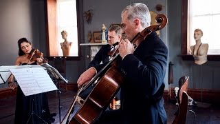 Holst: I Vow To Thee, My Country (Jupiter) - Stringspace String Quartet