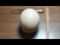 RAW EGG PEELING LIVE😲