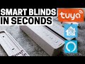 Zemismart Updated Tuya WiFi Blind Motor (Unbox/Setup/Review/Home Assistant)