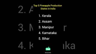 Top 5 Pineapple Production States in India knowledge shorts india