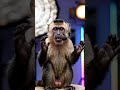 Monkey Ka Big Announcement 🐒 | Jaldi Aa Raha Hai Mera Vlog!