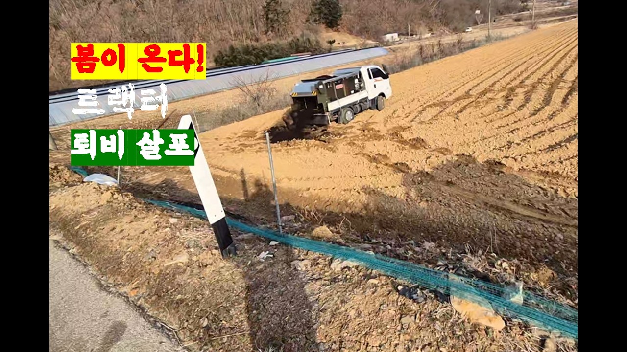 [황금이네] 봄 준비 시작! 트랙터로 퇴비 뿌리기!! 마지막엔 트럭이 고랑에 빠졌네요