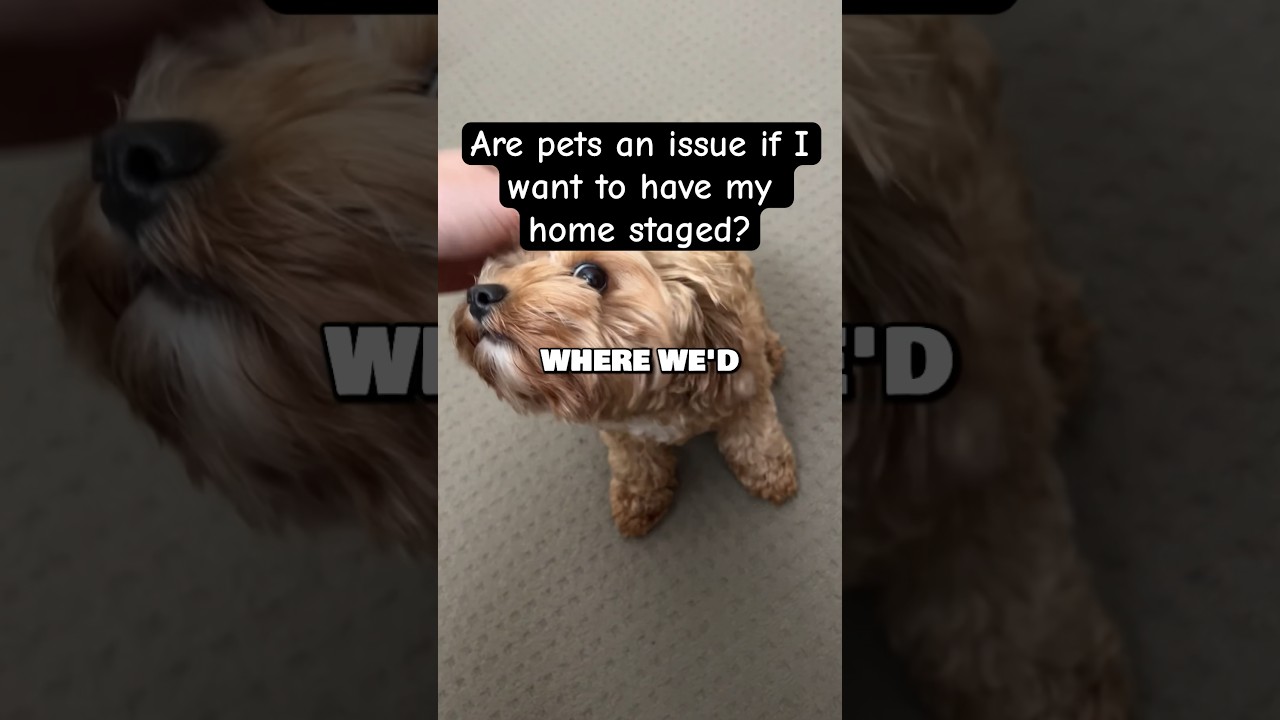 Are pets an issue if I want to have my home staged?