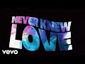 Charles jenkins  fellowship chicago  never knew love lyric