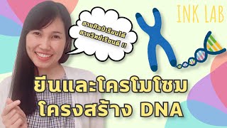 🧬โครโมโซมและสารพันธุกรรม 1 : โครงสร้าง DNA [Biology#9]