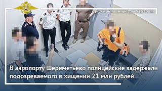 Ирина Волк: В аэропорту Шереметьево полицейские задержали подозреваемого в хищении 21 млн рублей