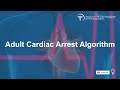 Chapter 9 adult cardiac arrest algorithm  american cpr care association