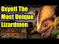 Oxyotl The Most Unique Lizardmen Mechanics - The Silence And The Fury - Total War Warhammer 2