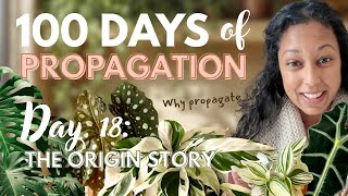 How Seeing Roots Grow Changed My Life | The beginning of my plant journey Update