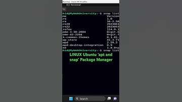 LINUX Ubuntu ‘apt and snap’ Package Manager #shorts