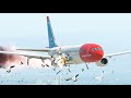 Norwegian Boeing 737 Pilot Saved All Passengers After Birds Strike [XP11]