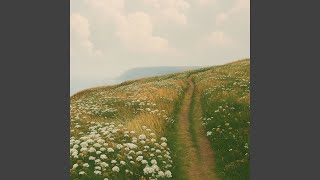 Path of Quiet Knowing