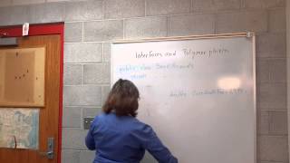 Dr. Doina Bein, Lecture: Interfaces and Polymorphism
