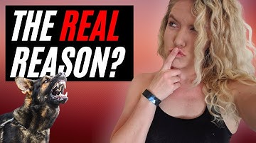 “Why Is My Dog Aggressive?” Understanding Dog Aggression (Science Explained)