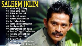 Saleem Iklim - Lagu Rock Kapak Lama Malaysiaa 90an - Mimpi Yang Pulang