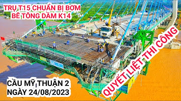 Trụ tháp T15 làm thép chuẩn bị bơm bê tông dầm K14, toàn cảnh Cầu Mỹ Thuận 2 sáng ngày 24/08/2023