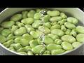 【食の人】空豆豆腐玉〆