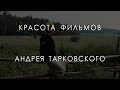 Красота фильмов Андрея Тарковского