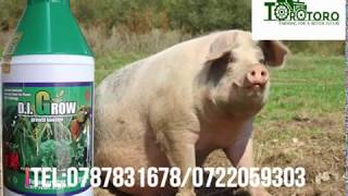 Ibyiza Byifumbire Ya  Di Grow organic Fertilizer