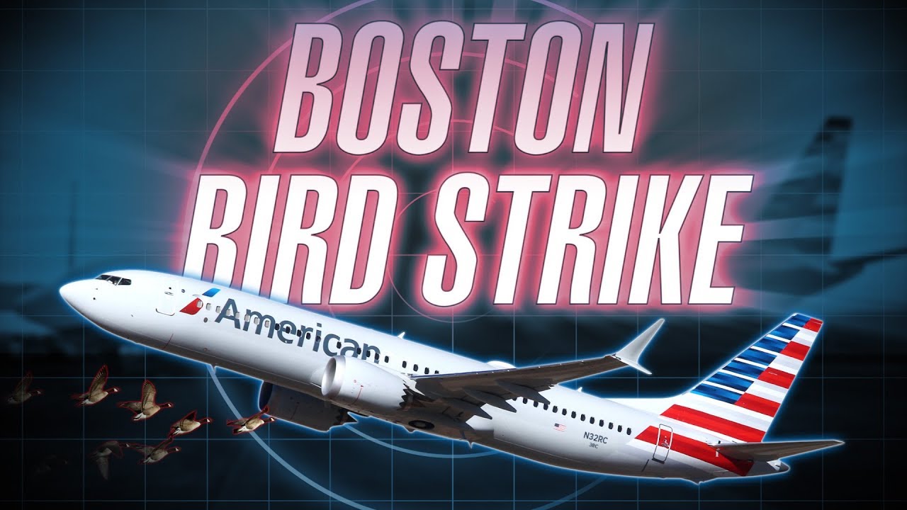 American 737 MAX 8 Bird Strike Departing Boston Logan [with ATC audio