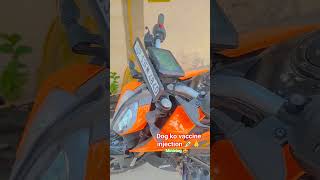 O भाई KTM Duke se dog ko veccine lagane 😱🚳 ll dog veccine 9 in 1 💉 ll #minivlog #dog #shorts #short