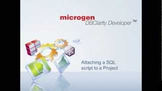 Microgen DBClarity Developer - Attaching Files