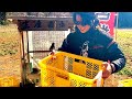 野菜に金を、払います。 thumbnail