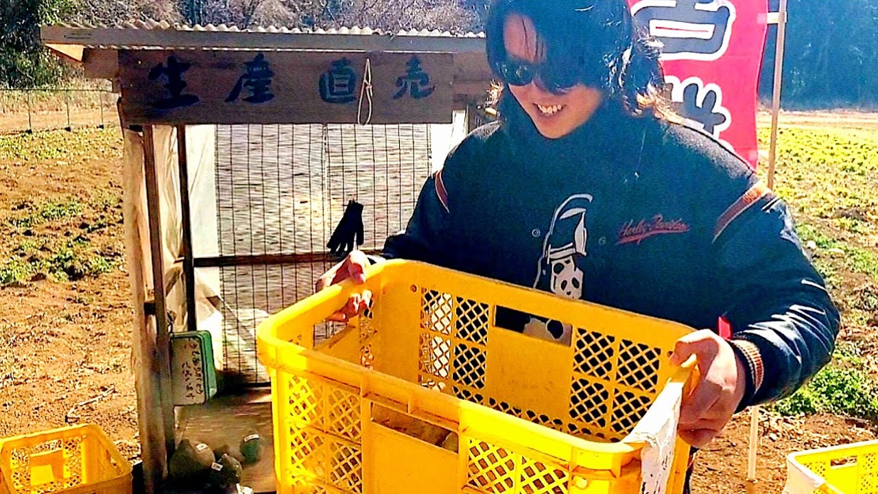 飯島レンジの電子レンジ YouTube