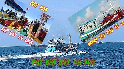 Bất ngờ, giữa trưa nắng xuất hiện bày cá chim và cái kết #sóng biển hứa đông