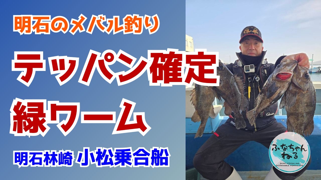 【メバル】今は緑が強い 尺メバルも飛びついた