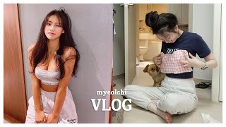 [멸치vlog] 107만 인플루언서랑 옷 바꿔 입기. 이걸 입으라고? (+랜선집들이)