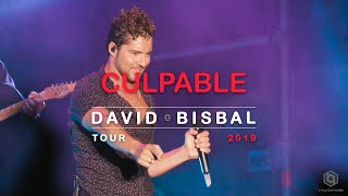 DAVID BISBAL - Culpable | Directo TOUR 2019