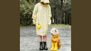 Rain Soothes the Furry Soul