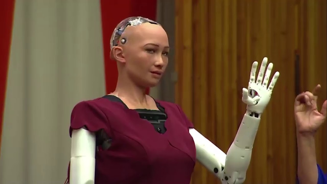 united nations interview with robot sophia