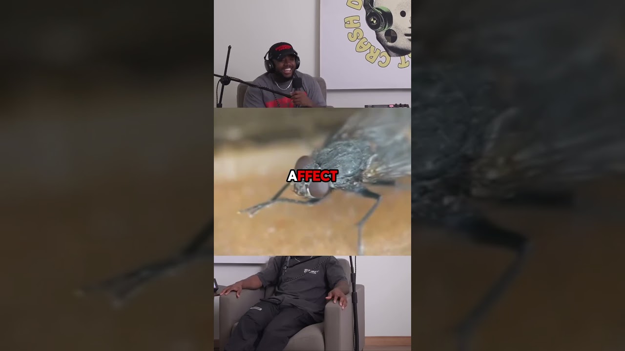 You got our vote!!!!!! 