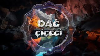 Vedat Sakman - Dağ Çiçeği🌺