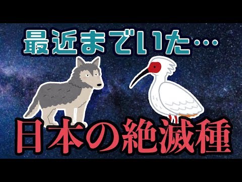 【ゆっくり解説】最近まで日本に生息していた絶滅動物9種