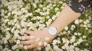 DASELO WATCHES - Neige Blanche pour les tombeuses