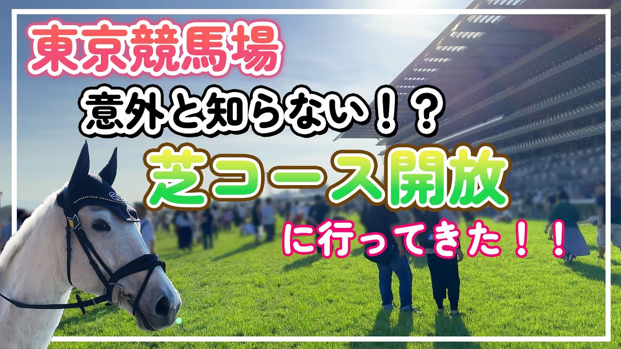 【 東京競馬場 】芝コース開放！？レース開催最終日がヤバすぎた…！