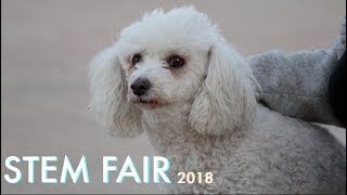 STEM Fair 2018
