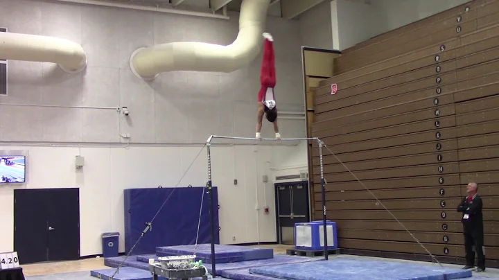 David Willett - High Bar - 2019 Men's National Qua...