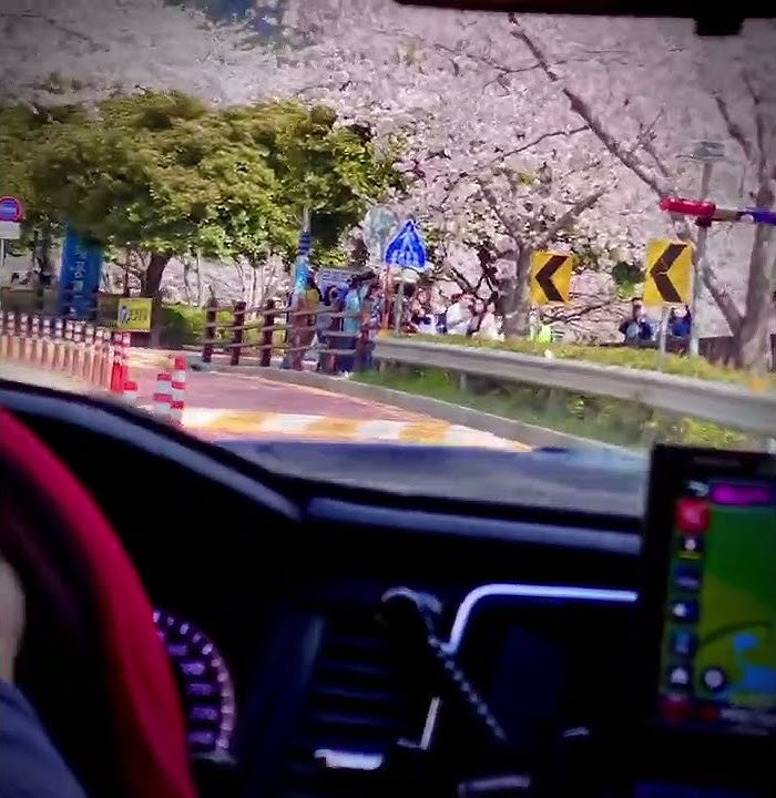 spring in korea#korea #musim semi