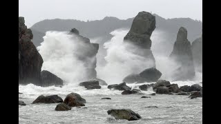 台風14号最接近の和歌山・串本