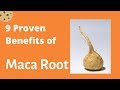 9 Proven Health Benefits of Maca Root