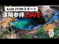 【龍鎮神社】動画配信できていないので映像お届けします|遠隔参拝・心願成就・エネルギーワーク